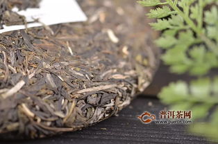 石雨益昌號(hào)滑竹梁子 總有一種西雙版納巔峰的味道讓你無法忘懷 產(chǎn)品新聞,普洱茶產(chǎn)品新聞,新品上市新聞 普洱茶網(wǎng)