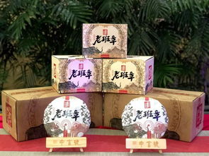 共贏發(fā)展 中吉號(hào)茶業(yè)與昌興存茶達(dá)成戰(zhàn)略合作