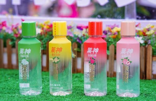 第十屆長沙國際茶文化旅游節暨萊神品牌發布會開幕